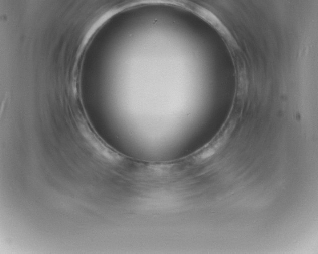 X0000060750908200511241700