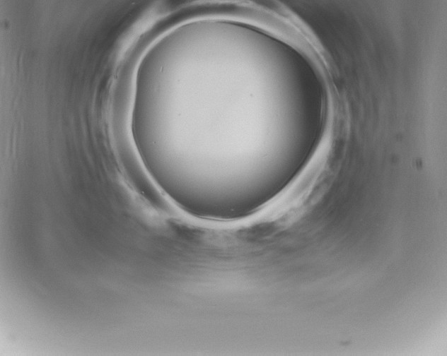 X0000060750909200511241700