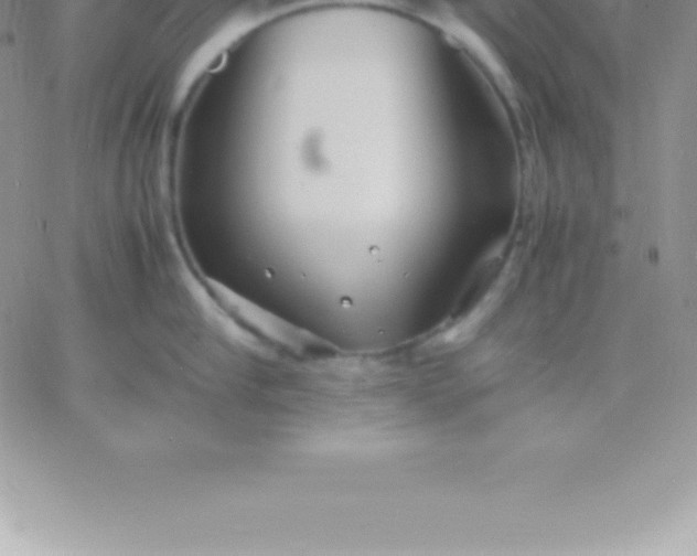 X0000060750910200511241700