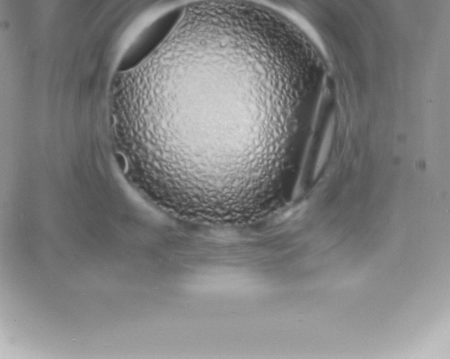 X0000060750911200511241700