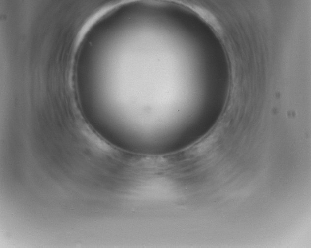 X0000060750912200511241700