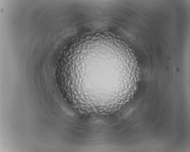 X0000060750913200511241659