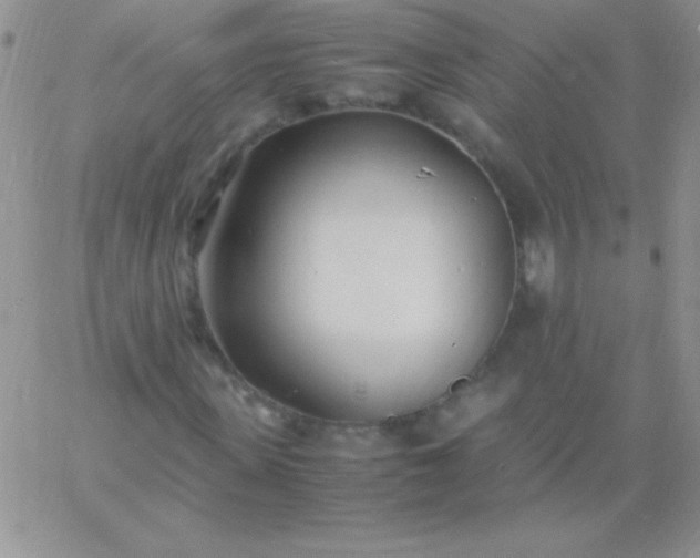 X0000060750915200511241659