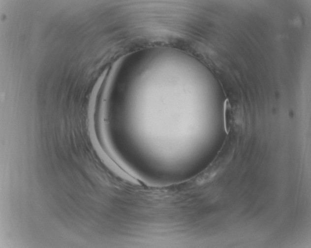 X0000060750916200511241659