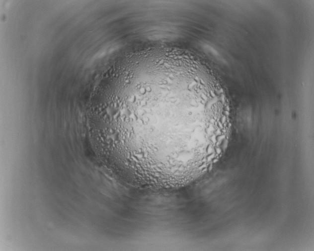 X0000060750917200511241659