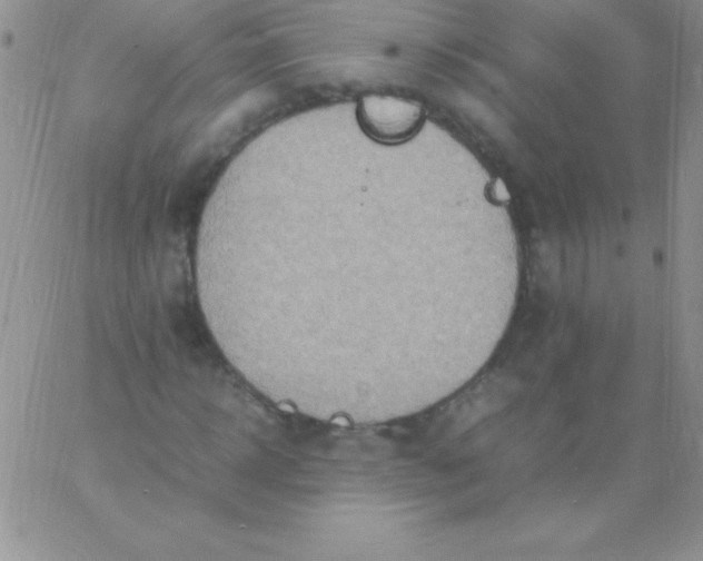 X0000060750918200511241659