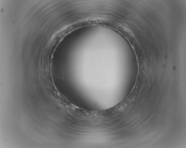 X0000060750920200511241659