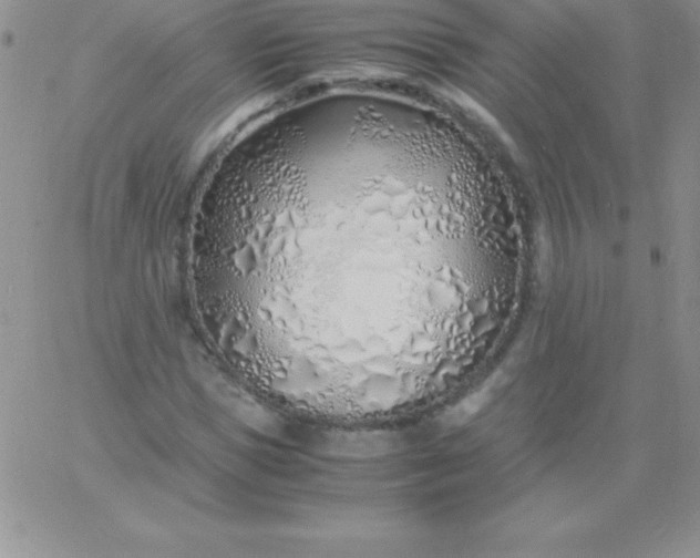 X0000060750921200511241659