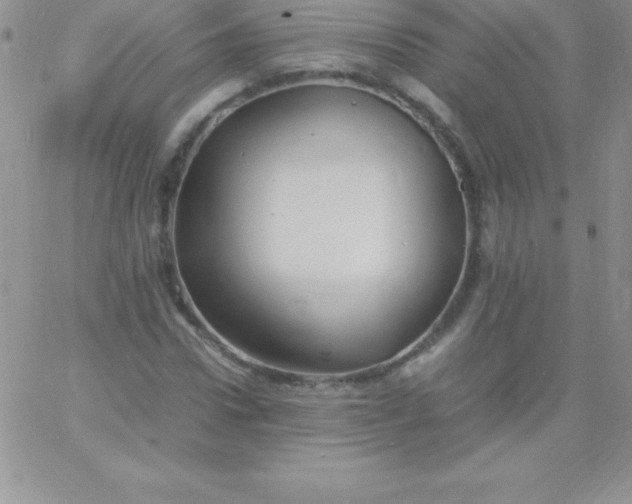 X0000060750922200511241659