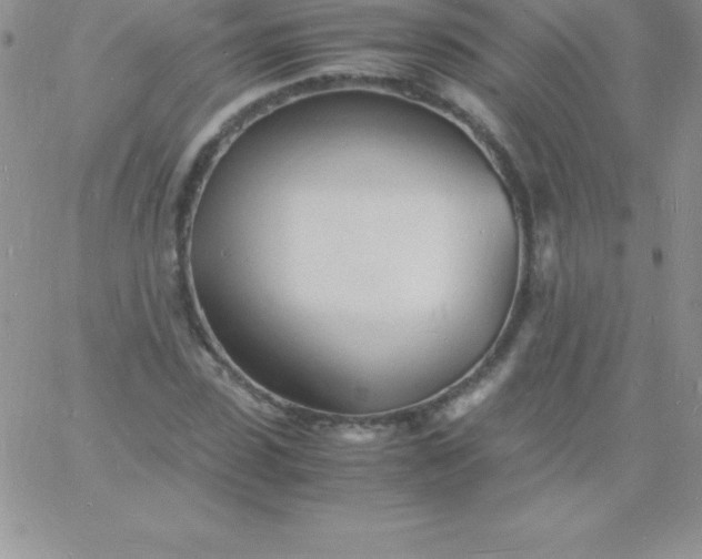 X0000060750923200511241659