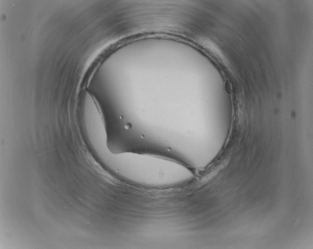 X0000060750924200511241659