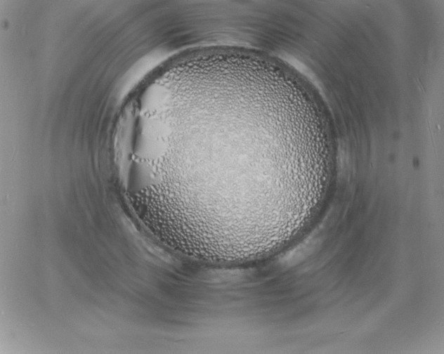 X0000060750925200511241659