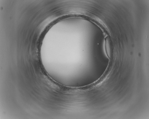 X0000060750926200511241659