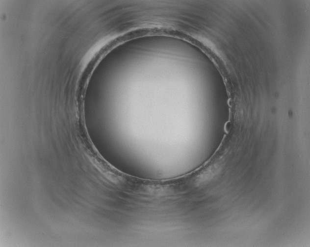 X0000060750927200511241659