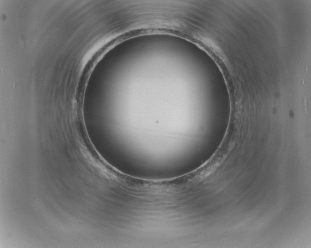 X0000060750928200511241659