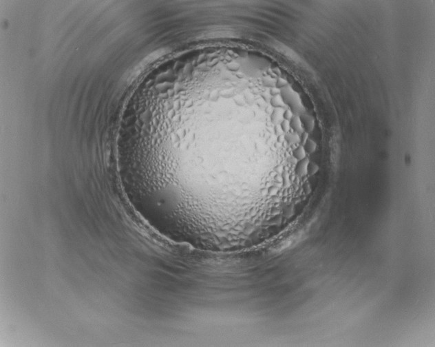 X0000060750929200511241659