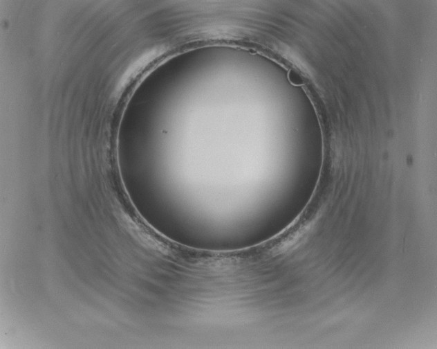 X0000060750930200511241659