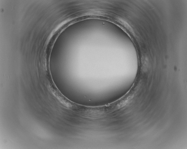 X0000060750931200511241659