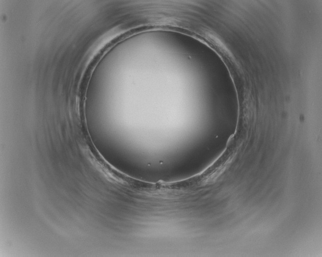 X0000060750932200511241659