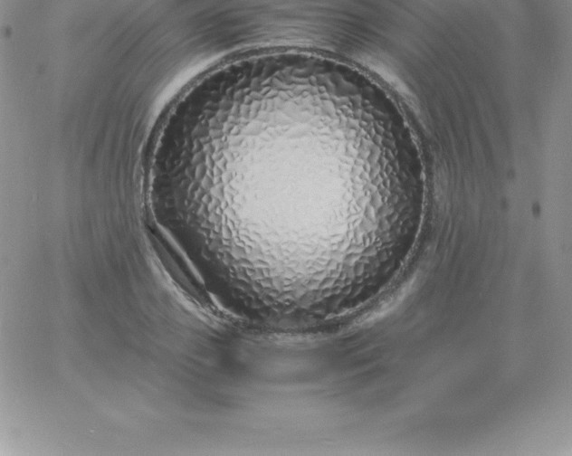 X0000060750933200511241659