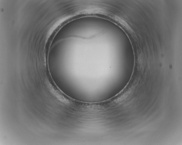 X0000060750934200511241659