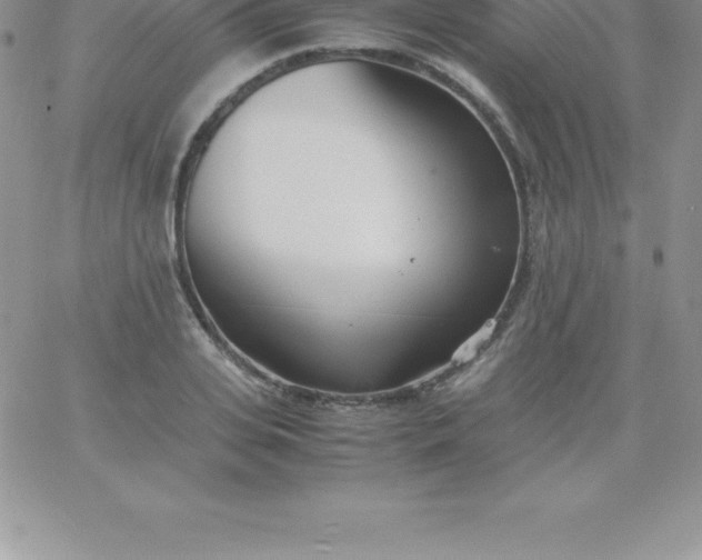 X0000060750935200511241659