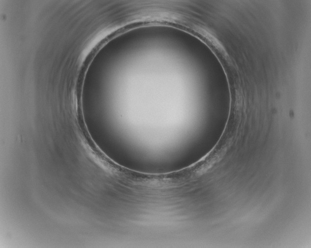 X0000060750936200511241659