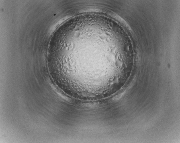 X0000060750937200511241659