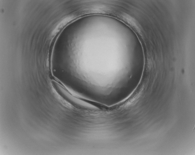 X0000060750938200511241659