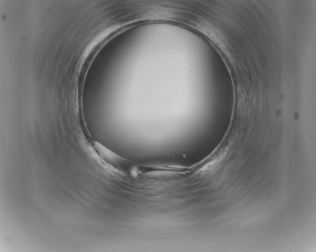 X0000060750939200511241659