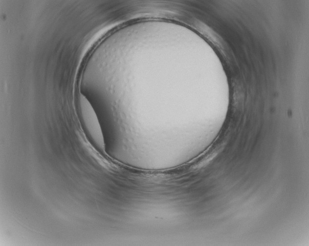 X0000060750940200511241659