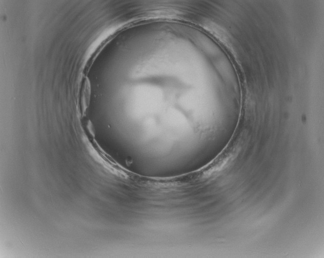 X0000060750941200511241659