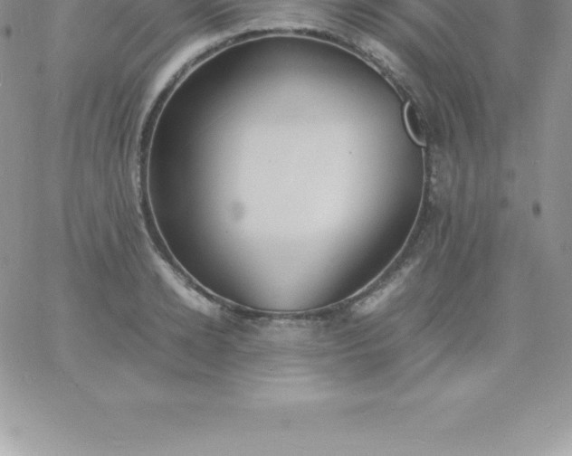 X0000060750942200511241659