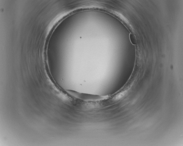 X0000060750943200511241659