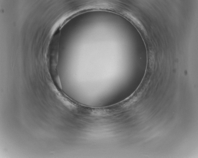 X0000060750944200511241700