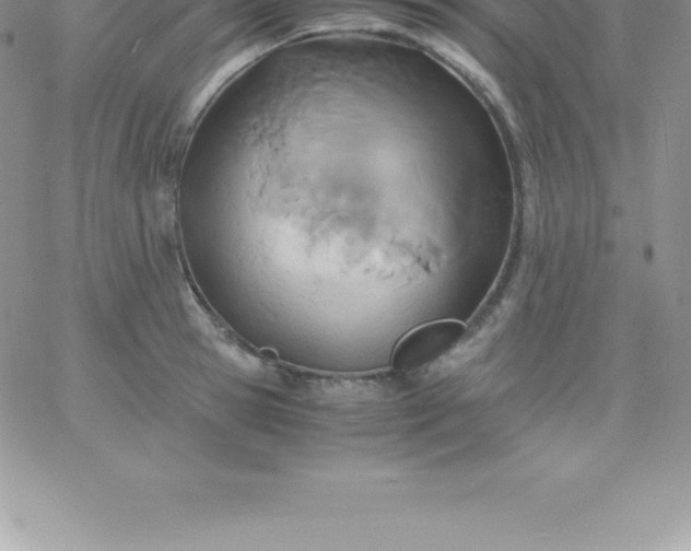 X0000060750945200511241700