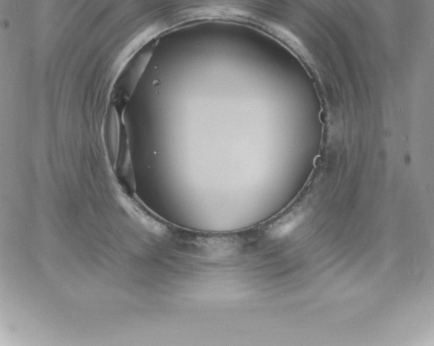 X0000060750946200511241700