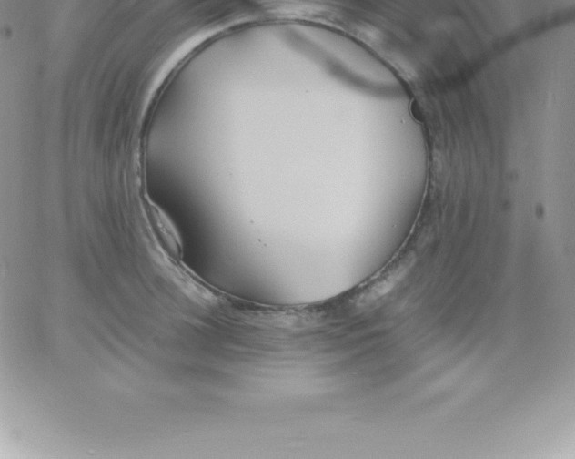 X0000060750948200511241700