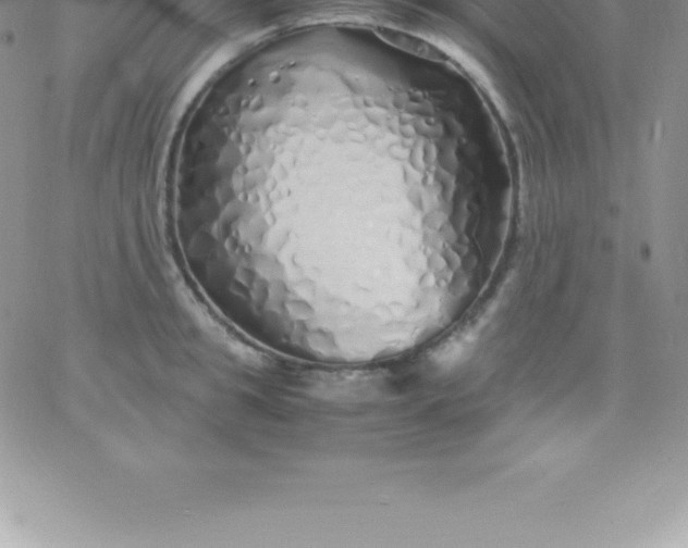 X0000060750949200511241700