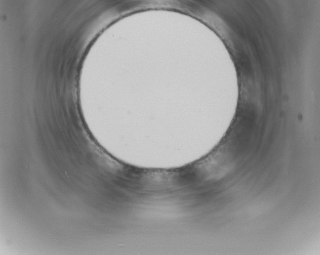 X0000060750950200511241700