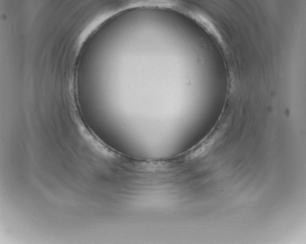 X0000060750952200511241700