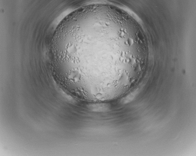 X0000060750953200511241700