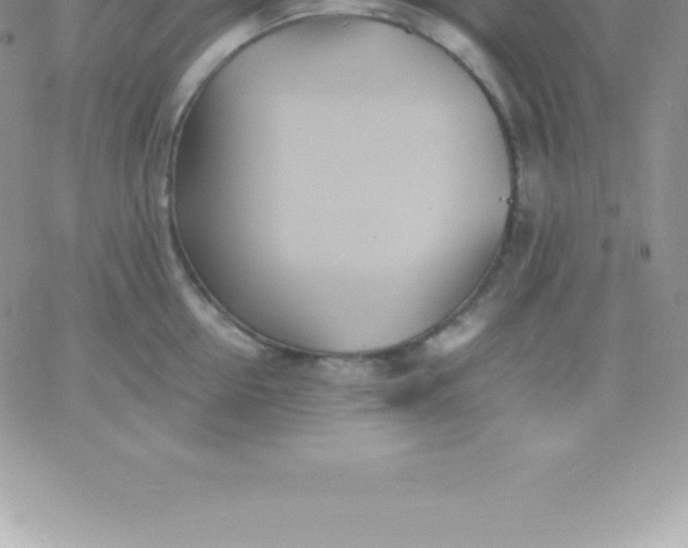 X0000060750954200511241700