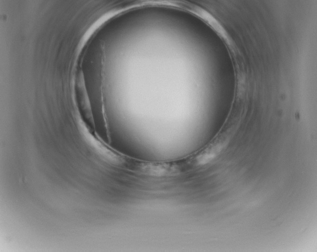 X0000060750955200511241700