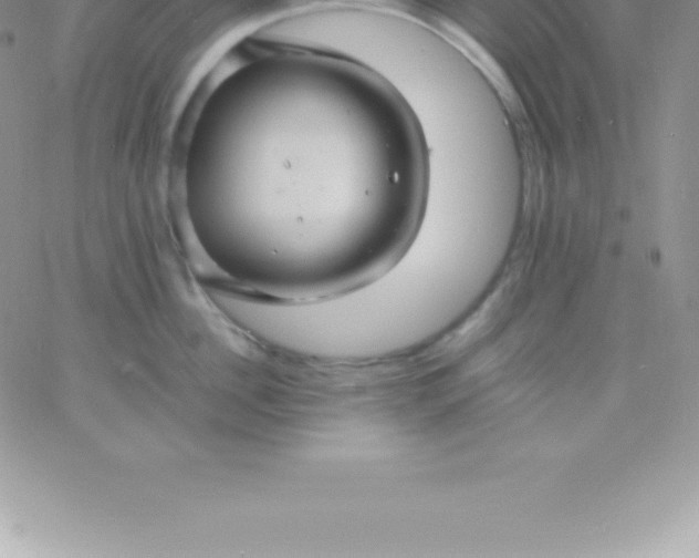 X0000060750956200511241700