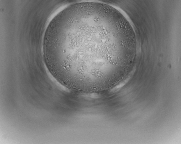 X0000060750957200511241700