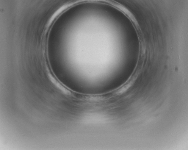 X0000060750958200511241700