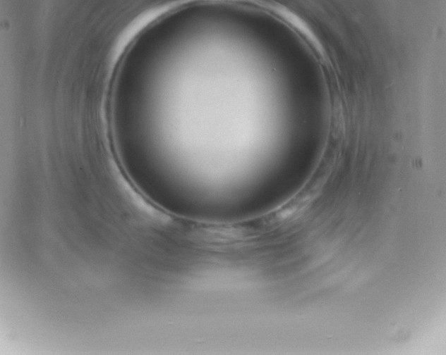 X0000060750959200511241700