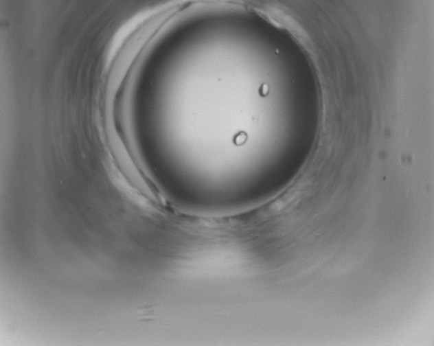 X0000060750960200511241700