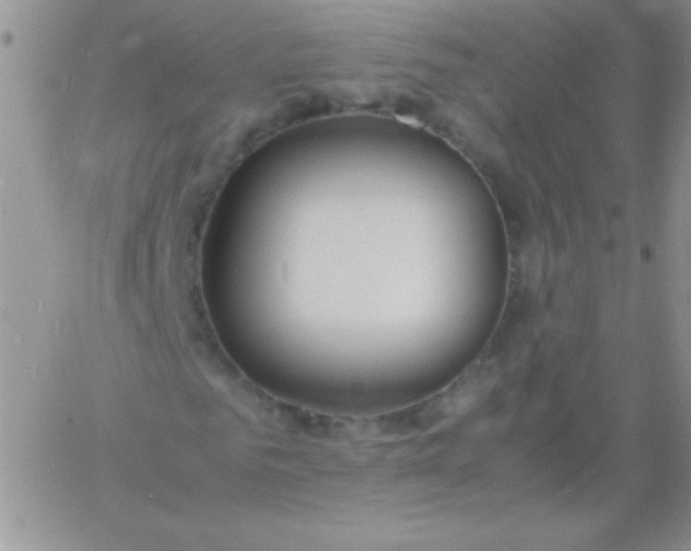 X0000060750961200511241659